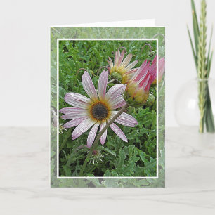 Carte d'anniversaire de la marguerite d'hiver