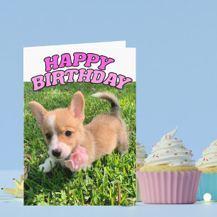 Carte d'anniversaire de la marionnette de Corgi