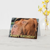 Carte d'anniversaire de la mignonne dogue de borde (Fleur jaune)