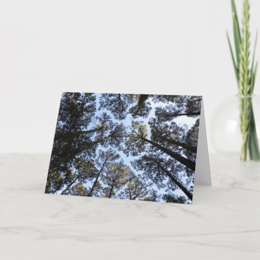 Carte d'anniversaire de la perspective des arbres (Devant)