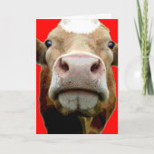 Carte d'anniversaire de la vache (Devant)