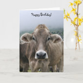 Carte d'anniversaire de la vache alpine (Fleur jaune)