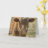 Carte d'anniversaire de la vache baisante (Fleur jaune)