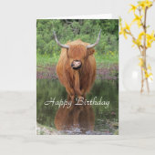 Carte d'anniversaire de la vache Highland (Fleur jaune)