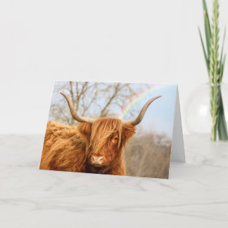 Carte d'anniversaire de la vache Highland