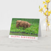 Carte d'anniversaire de la vache Highland (Fleur jaune)