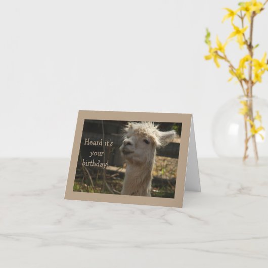 carte d'anniversaire de lama (Fleur jaune)