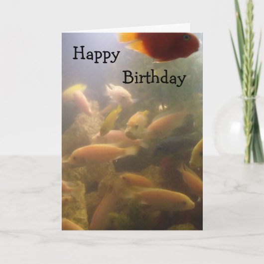 Carte d'anniversaire de l'aquarium (Devant)