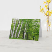 Carte d'anniversaire de l'arbre à bouleau (Fleur jaune)