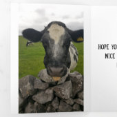 Carte d'anniversaire de l'argent - Flap se plie au (Intérieur en premier)