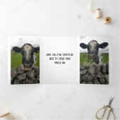 Carte d'anniversaire de l'argent - Flap se plie au (Intérieur)