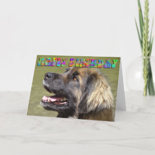 Carte d'anniversaire de Leonberger