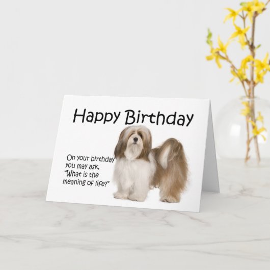 Carte d'anniversaire de Lhasa Apso (Fleur jaune)