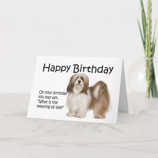 Carte d'anniversaire de Lhasa Apso (Devant)