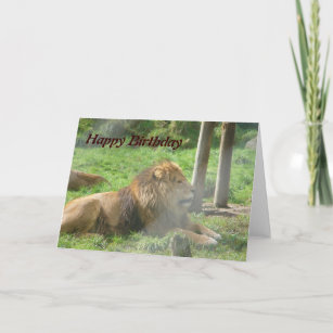 Invitations Faire Part Cartes Anniversaire Lion Zazzle Be