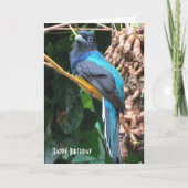 Carte d'anniversaire de l'oiseau bleu avec une lon (Devant)