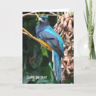 Carte d'anniversaire de l'oiseau bleu avec une lon