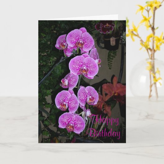 Carte d'anniversaire de l'orchidée rose (Fleur jaune)