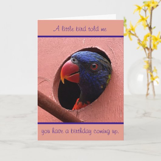 carte d'anniversaire de lorikeet (Fleur jaune)