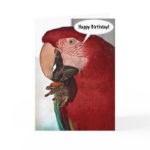 Carte d'anniversaire de Macaw Parrot