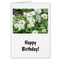 Carte d'anniversaire de marais