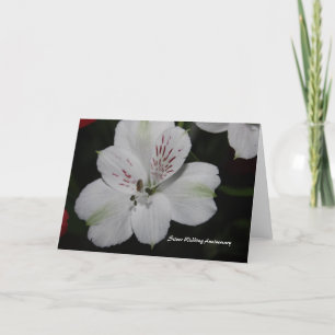 Carte d'anniversaire de mariage Alstroemeria Silve