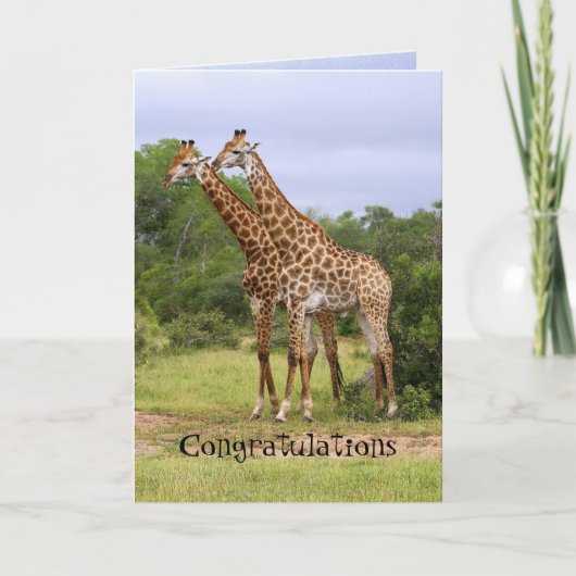 Carte d'anniversaire de mariage avec des girafes (Devant)