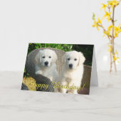 Carte d'anniversaire de marionnettes Golden retrie (Fleur jaune)