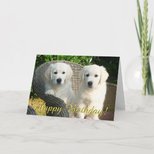 Carte d'anniversaire de marionnettes Golden retrie