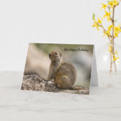 Carte d'anniversaire de marmotte (Fleur jaune)