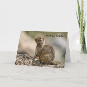Carte d'anniversaire de marmotte