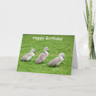 Carte d'anniversaire de mignonette Cygnets