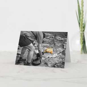 Carte d'anniversaire de paparazzi d'iguane