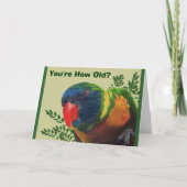 Carte d'anniversaire de perroquet (Devant)