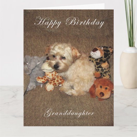 Carte d'anniversaire de petite-fille de chiot (Devant)