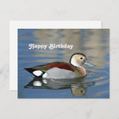Carte d'anniversaire de photo de canard sarcelle à (Devant / Derrière)