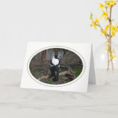 Carte d'anniversaire de pie (Fleur jaune)