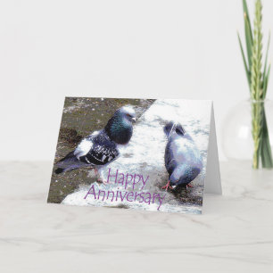 Carte d'anniversaire de pigeons