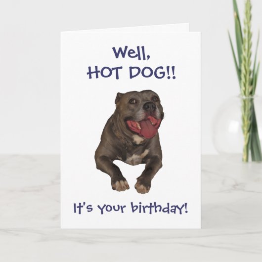 Carte d'anniversaire de Pitbull de hot-dog (Devant)