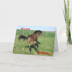 Carte d'anniversaire de poney