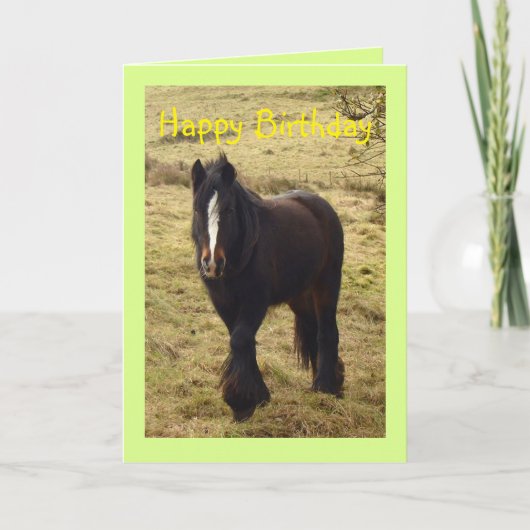 Carte d'anniversaire de poney tzigane (Devant)