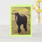 Carte d'anniversaire de poney tzigane (Fleur jaune)