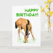 Carte d'anniversaire de "poulain" (Fleur jaune)