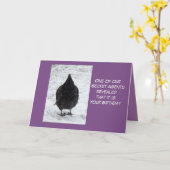 Carte d'anniversaire de poulet agent secret (Fleur jaune)