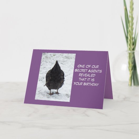 Carte d'anniversaire de poulet agent secret (Devant)
