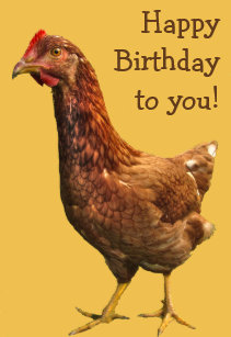 Cadeaux Anniversaire De Poulet Zazzle Be Cadeaux Anniversaire De Poulet Zazzle Be