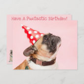 Carte d'anniversaire de Pug (Devant / Derrière)
