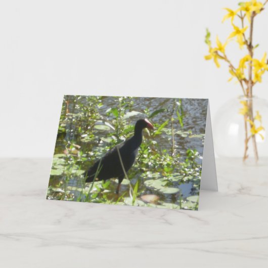Carte d'anniversaire de Pukeko (Fleur jaune)