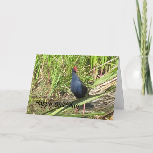 Carte d'anniversaire de Pukeko (Devant)