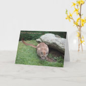 carte d'anniversaire de puma (Fleur jaune)